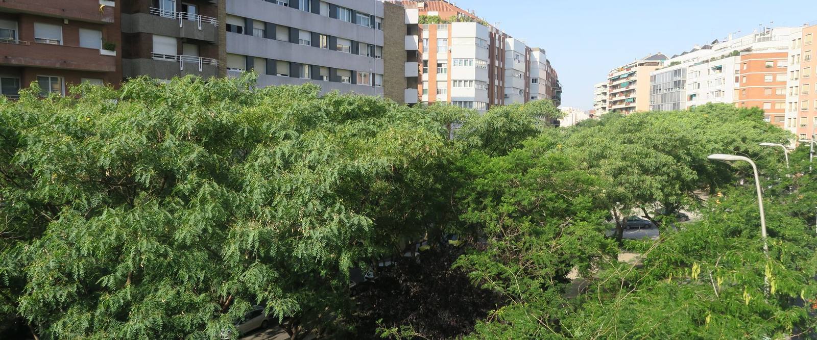 Vistas desde uno de nuestros pisos en Barcelona